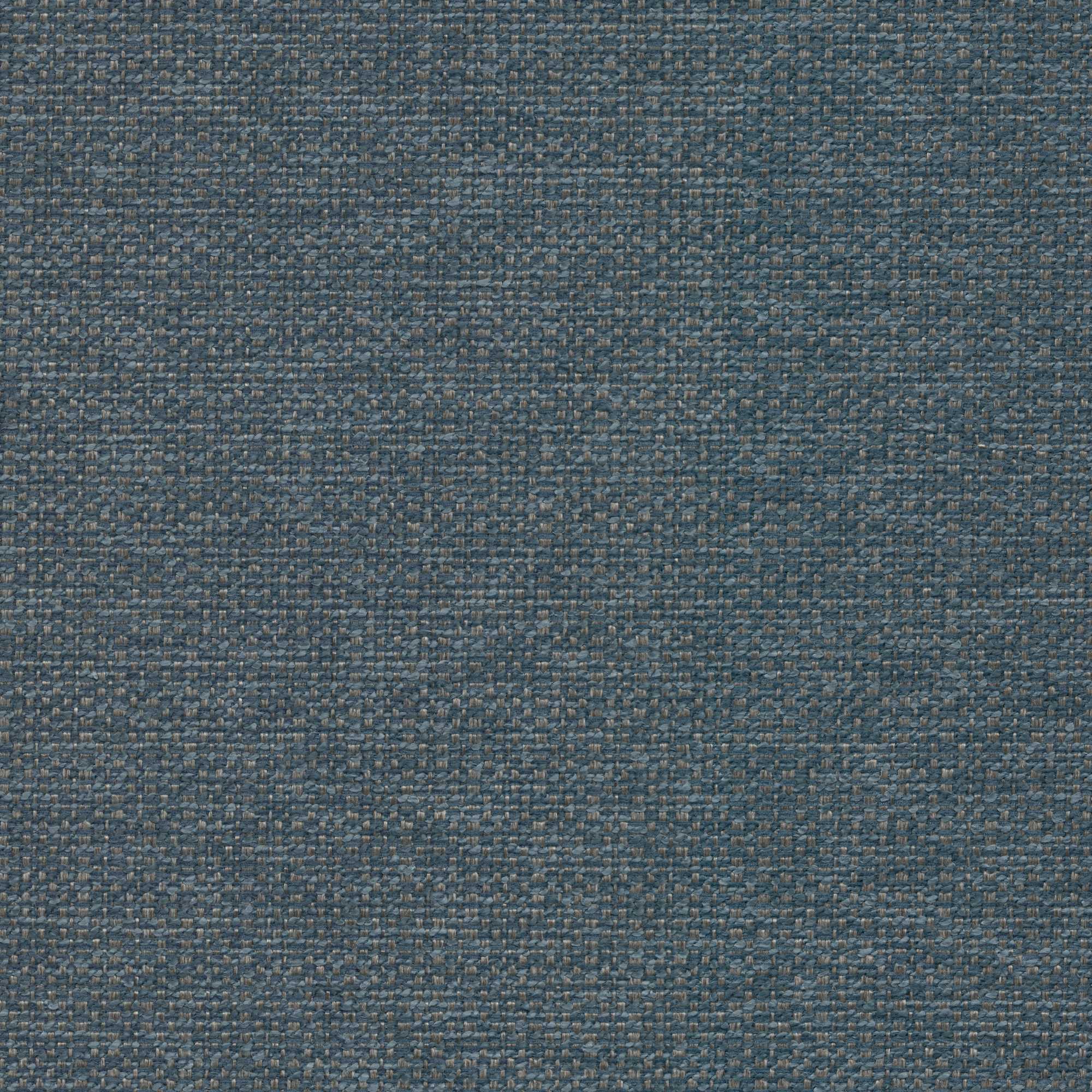 54919 BLUE JEAN (STELLAR)