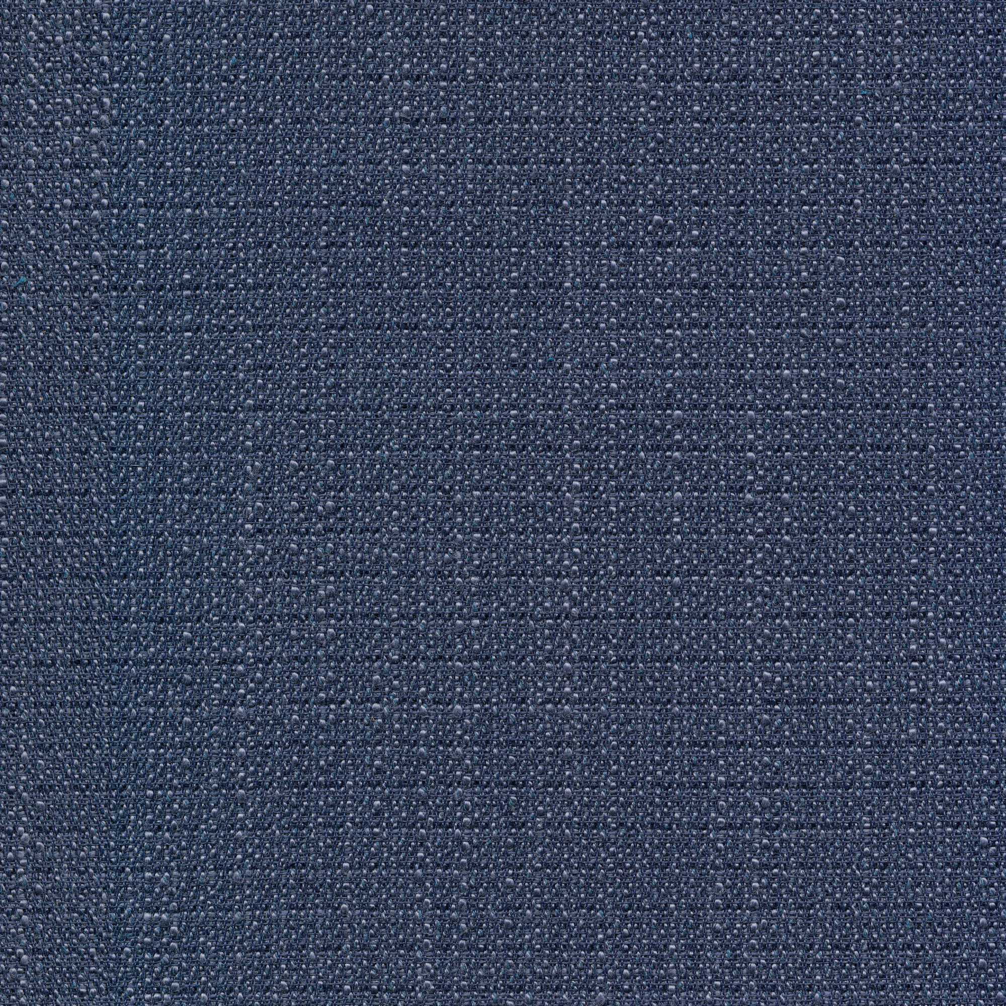 54933 BLUEBERRY (DERBY)