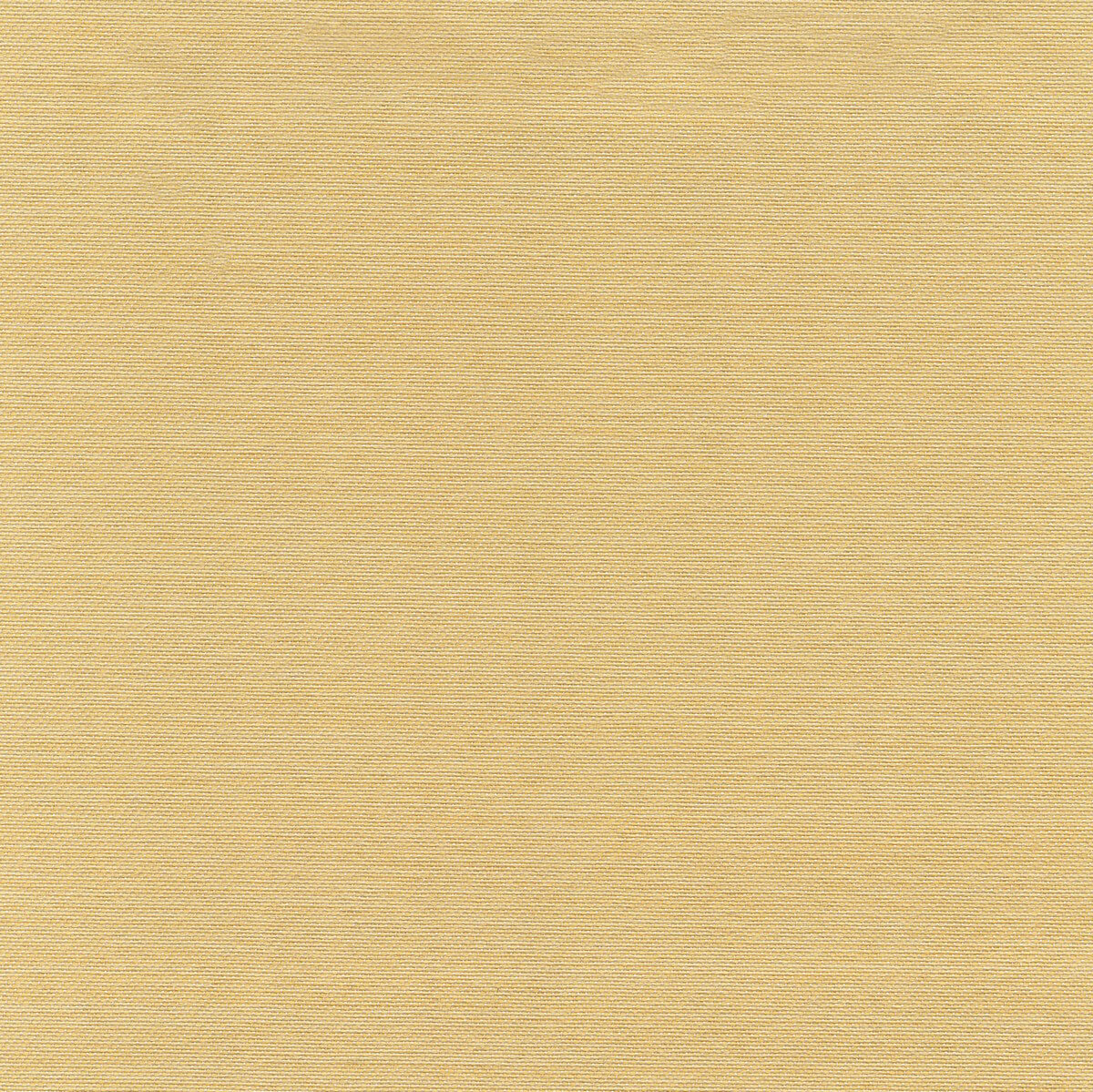 56108 LEMON (ACCOLADE PLUS)