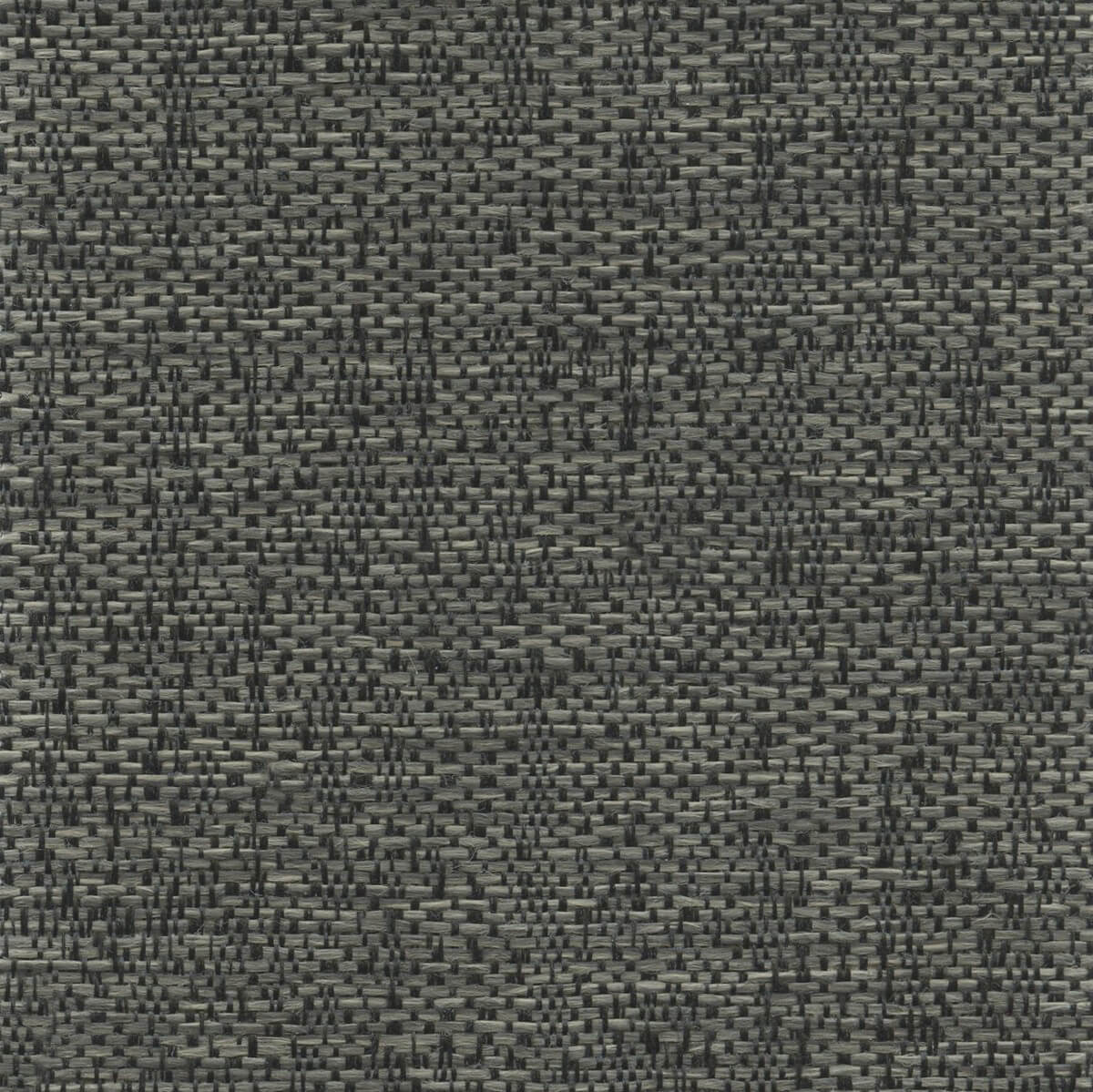 56109 CHARCOAL (TARVOS)
