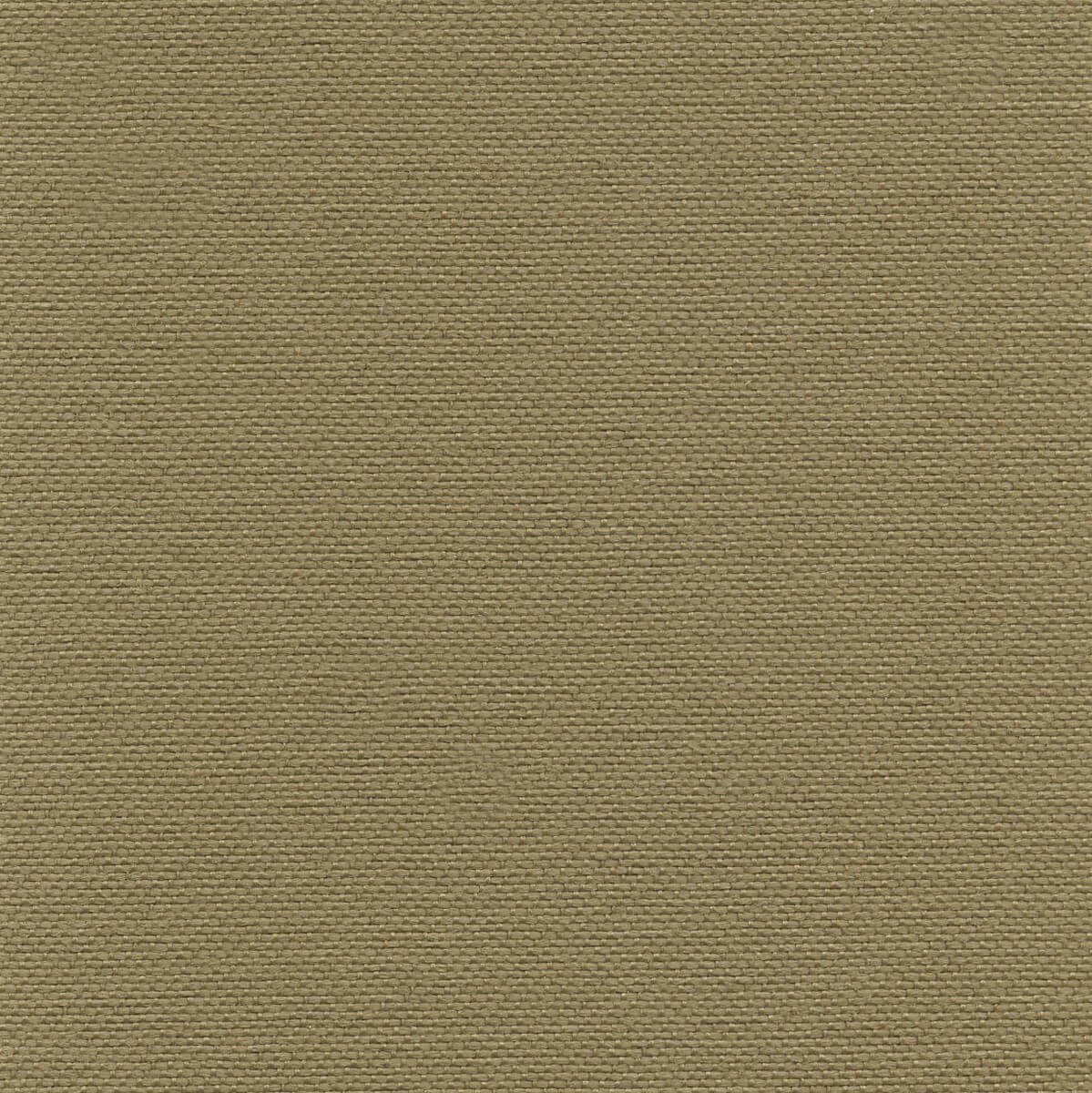 56115 OCHRE (ACCOLADE PLUS)