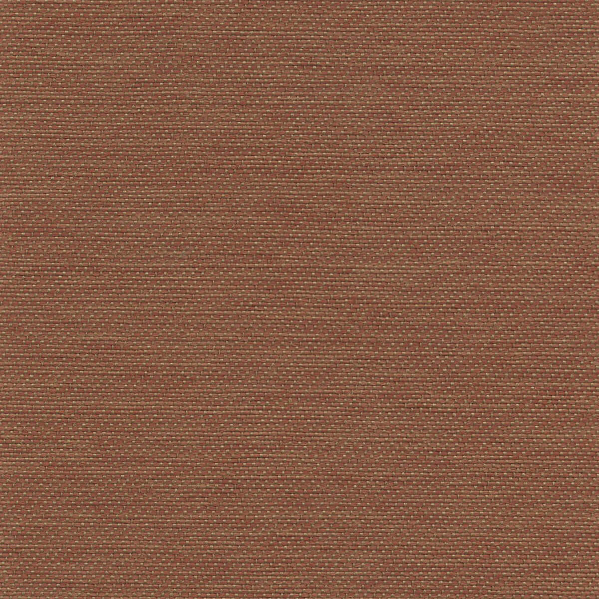 56116 MANGO (ACCOLADE PLUS)