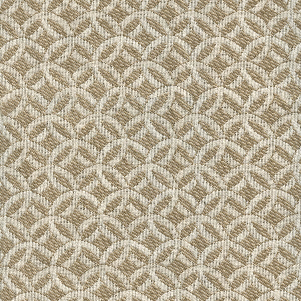 56124 LINEN (SECTOR)