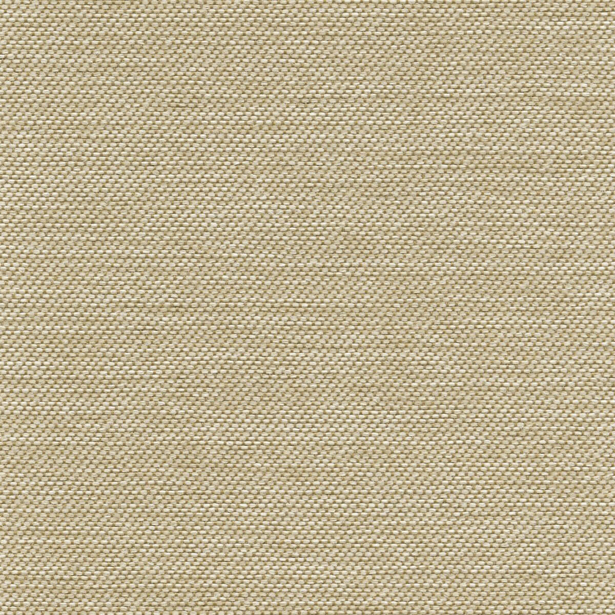 56126 BEIGE (ACCOLADE PLUS)