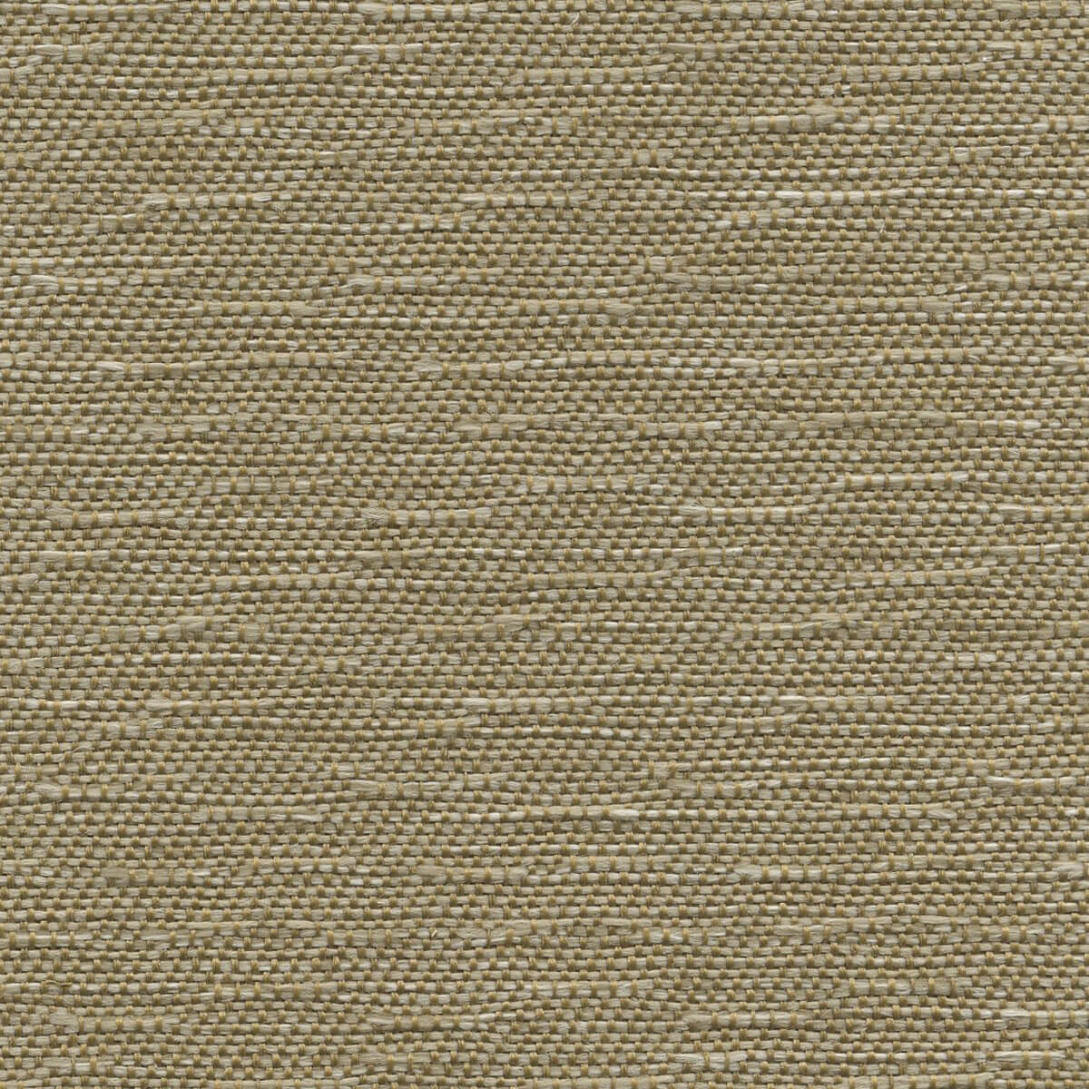 56133 TAN (HERALD)