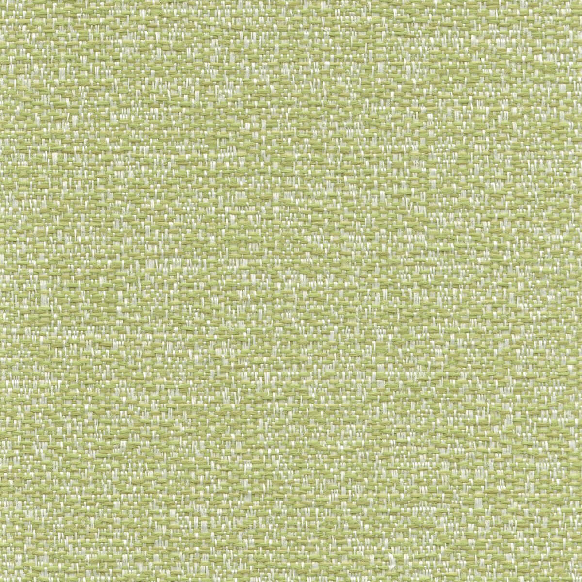 56137 LIME (THE CLOUD)