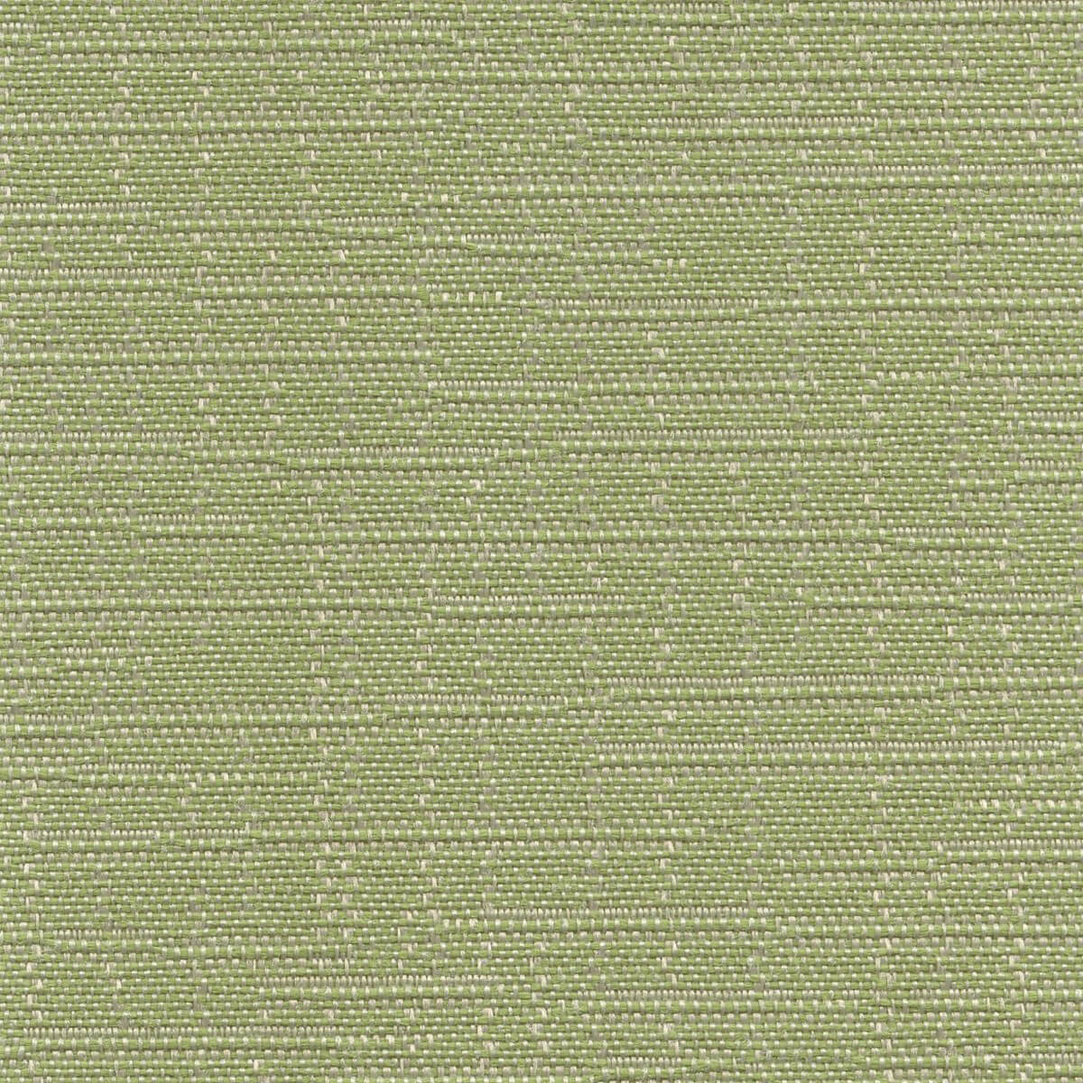 56138 SPROUT (AMBOY)