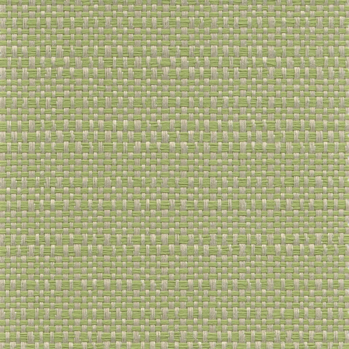 56139 SPROUT (SUMMER BASKET)