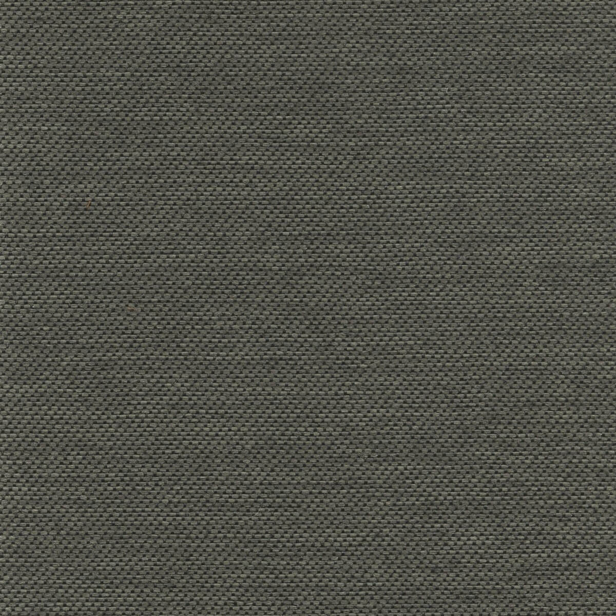 56156 GREY (ACCOLADE PLUS)