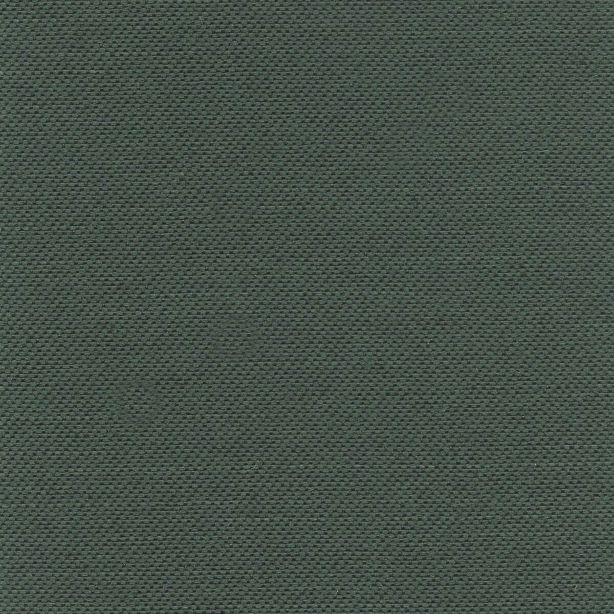 56163 FOREST (ACCOLADE PLUS)