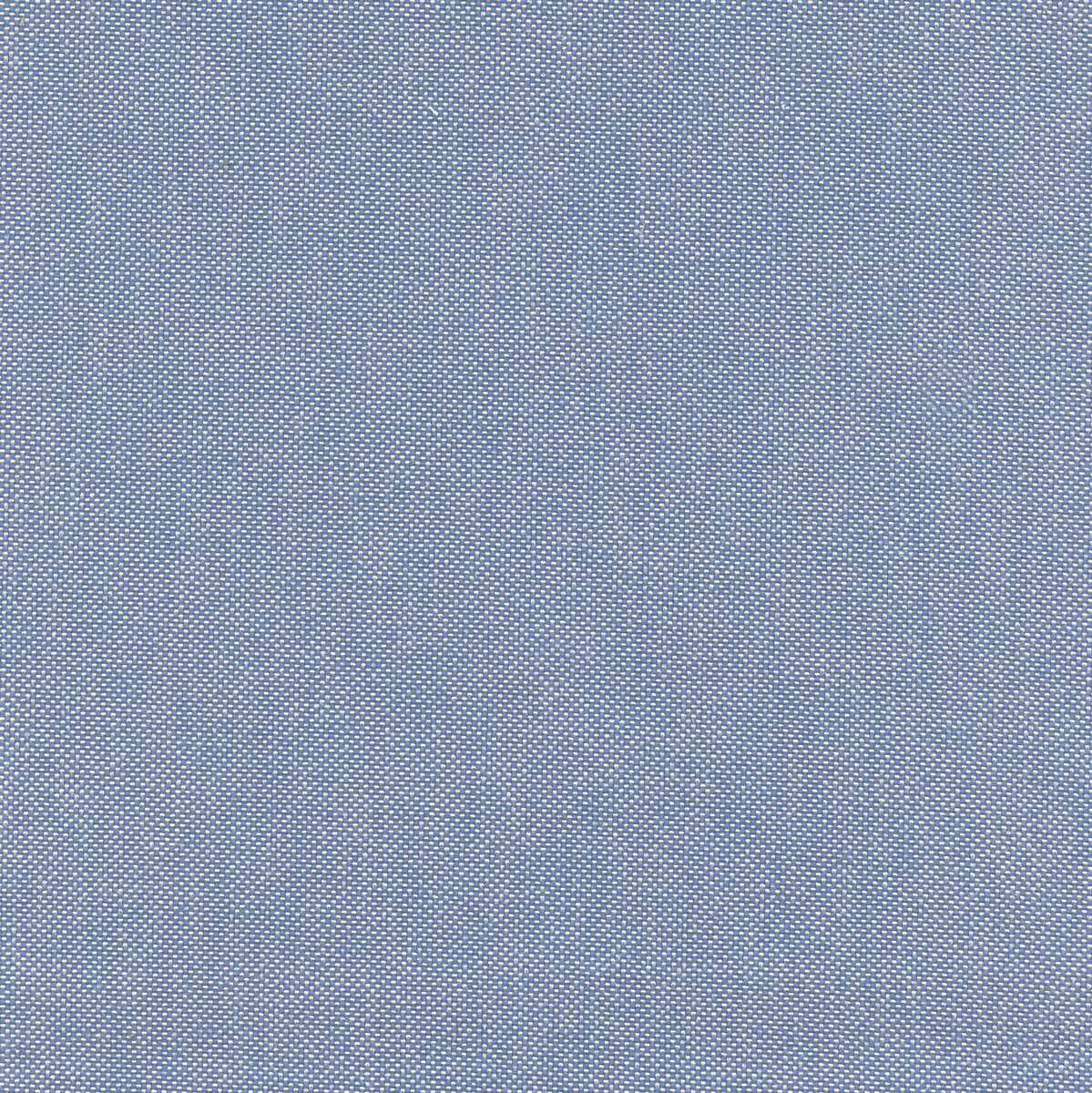 56204 BLUE HAWAII (BIMINI)