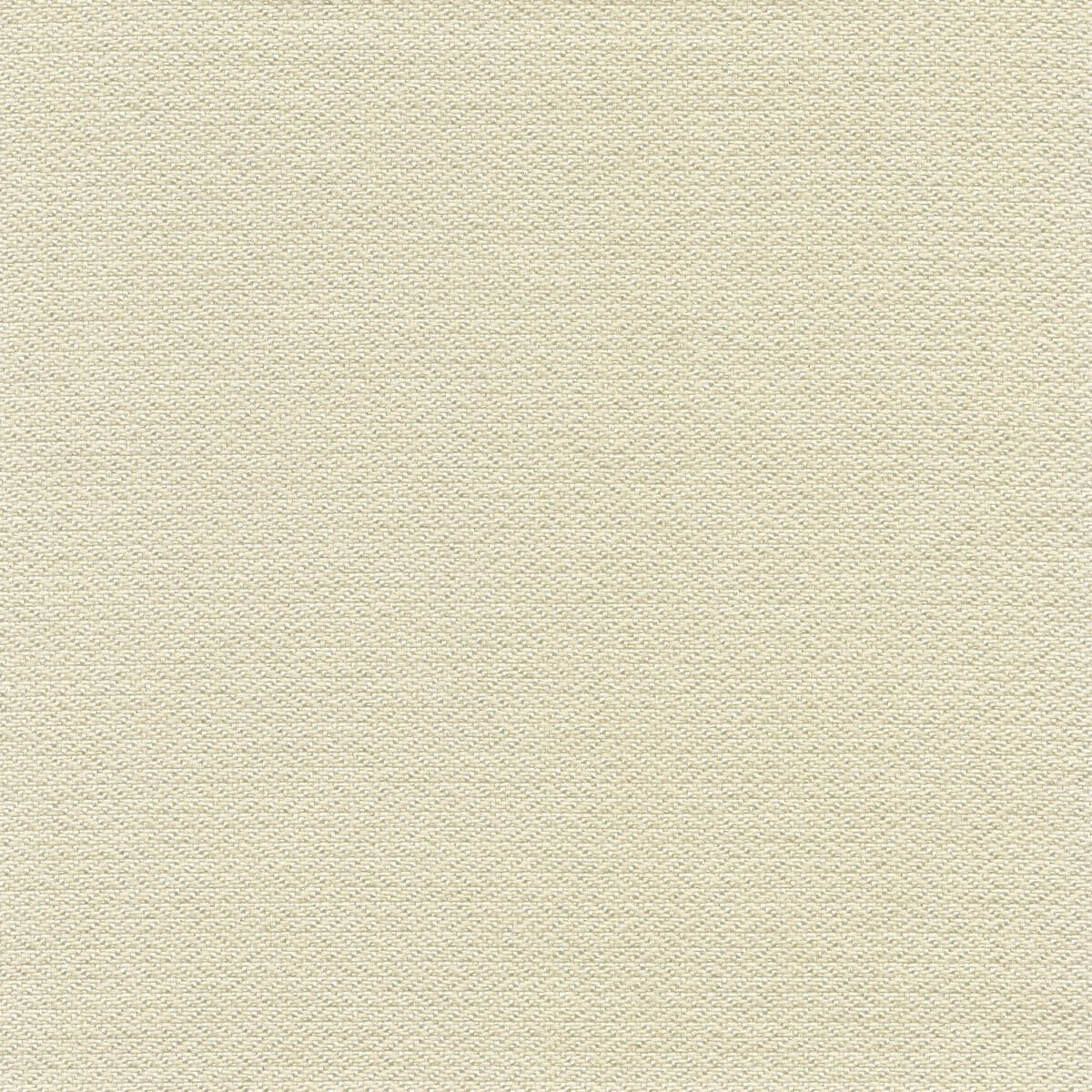 56213 SAND DOLLAR (ZANZIBAR)