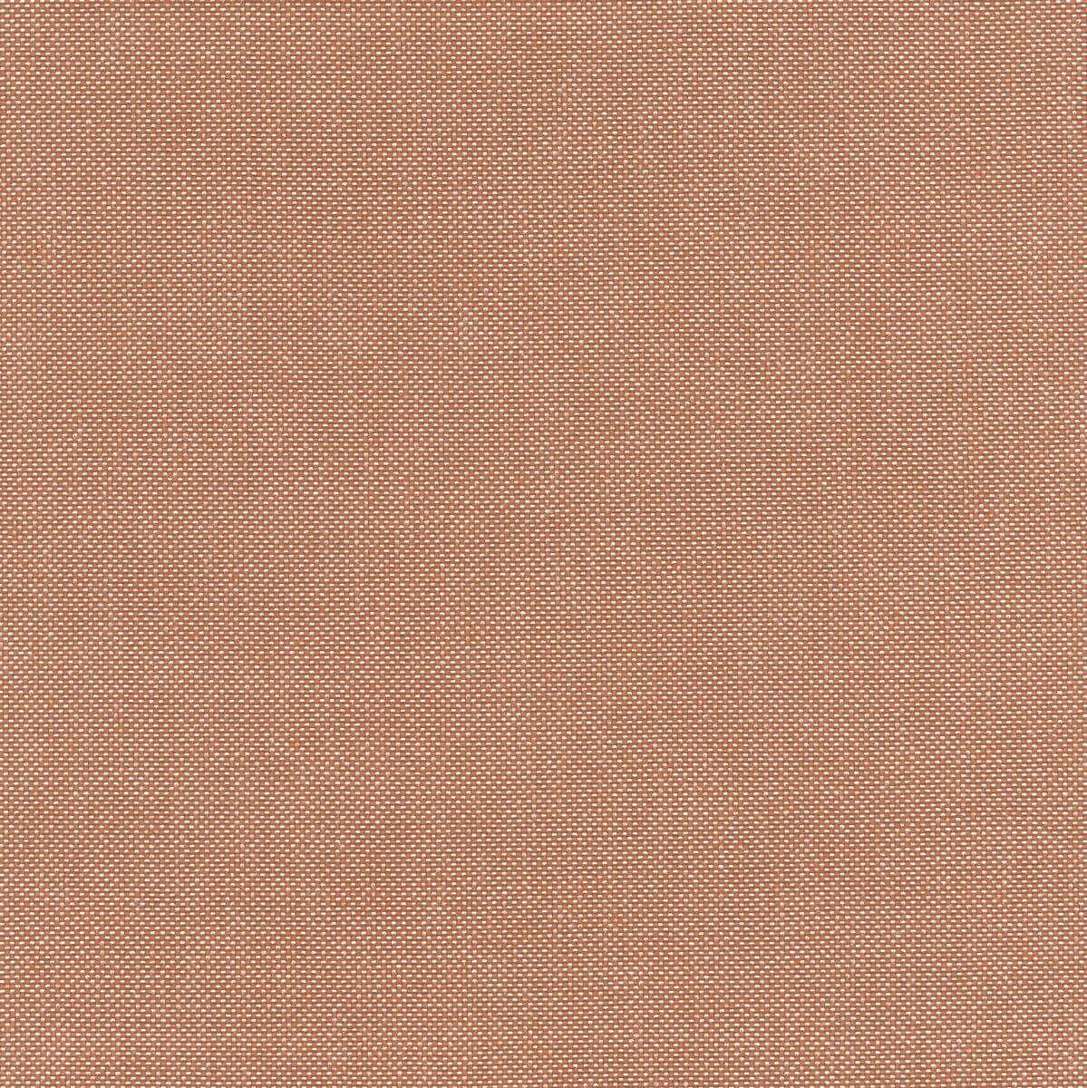 56219 PAPAYA (BIMINI)