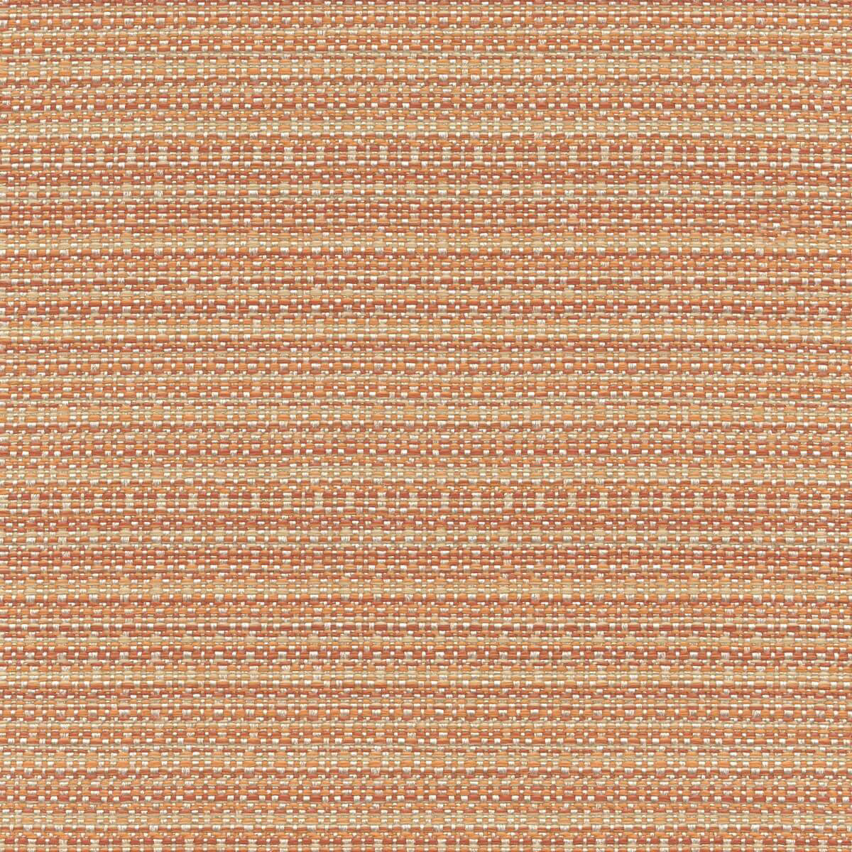 56220 GRAPEFRUIT (CABO)