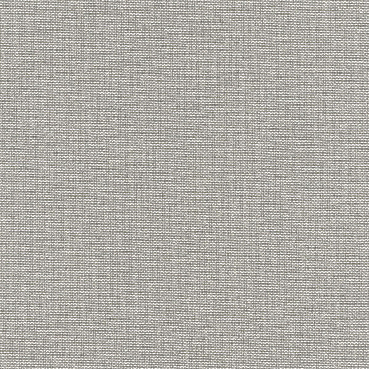 56228 DOLPHIN (BIMINI)