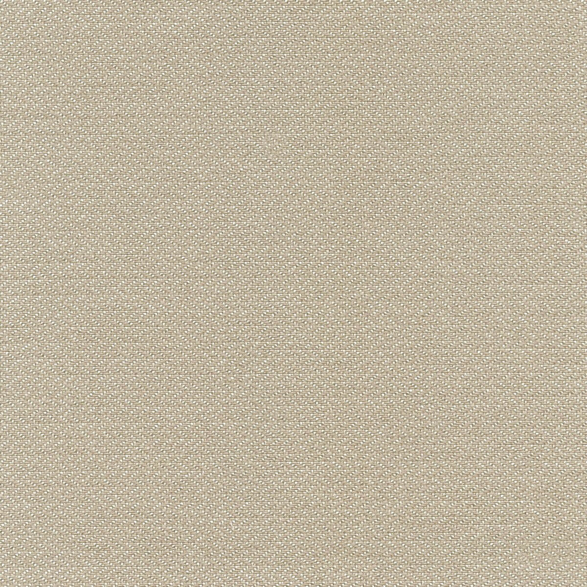 56230 PEBBLE (ZANZIBAR)