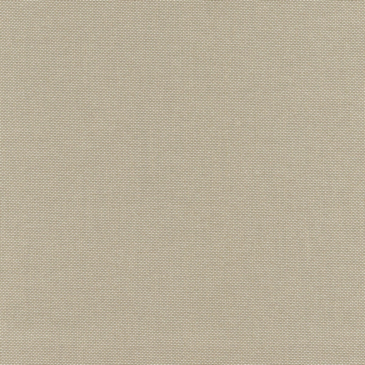 56232 PEBBLE (BIMINI)