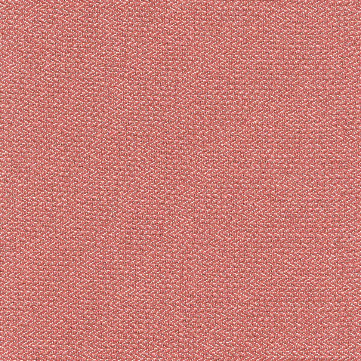 56234 CORAL (ZANZIBAR)
