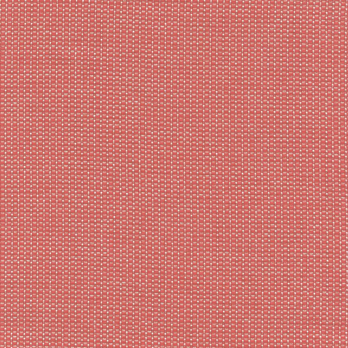 56235 CORAL (DOMINICA)