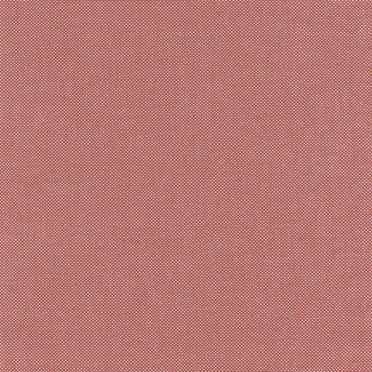 56236 CORAL (BIMINI)