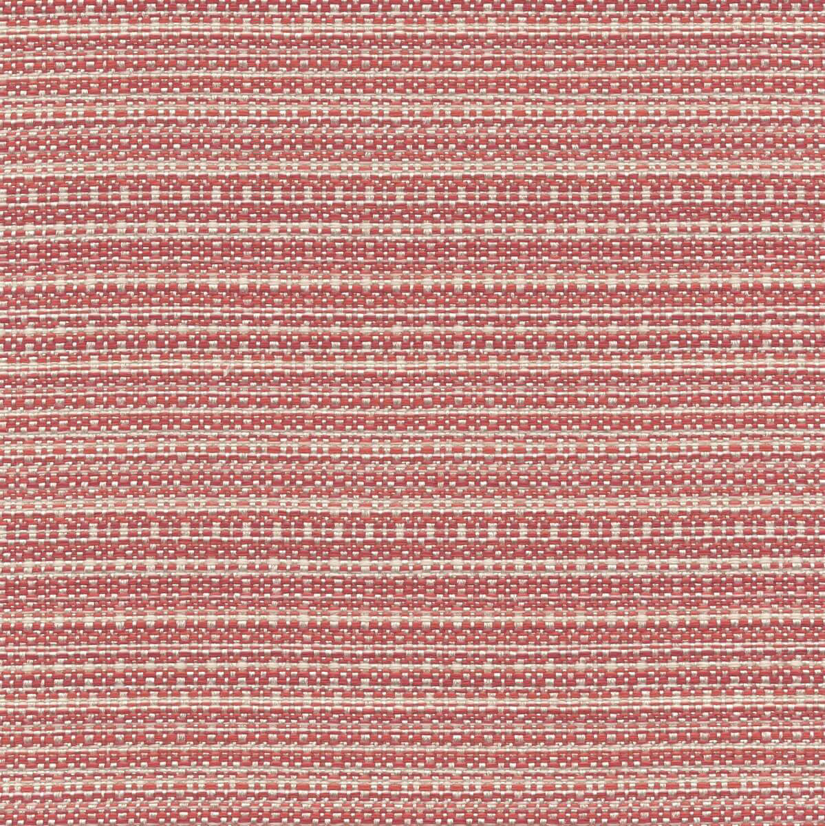 56238 CORAL (CABO)