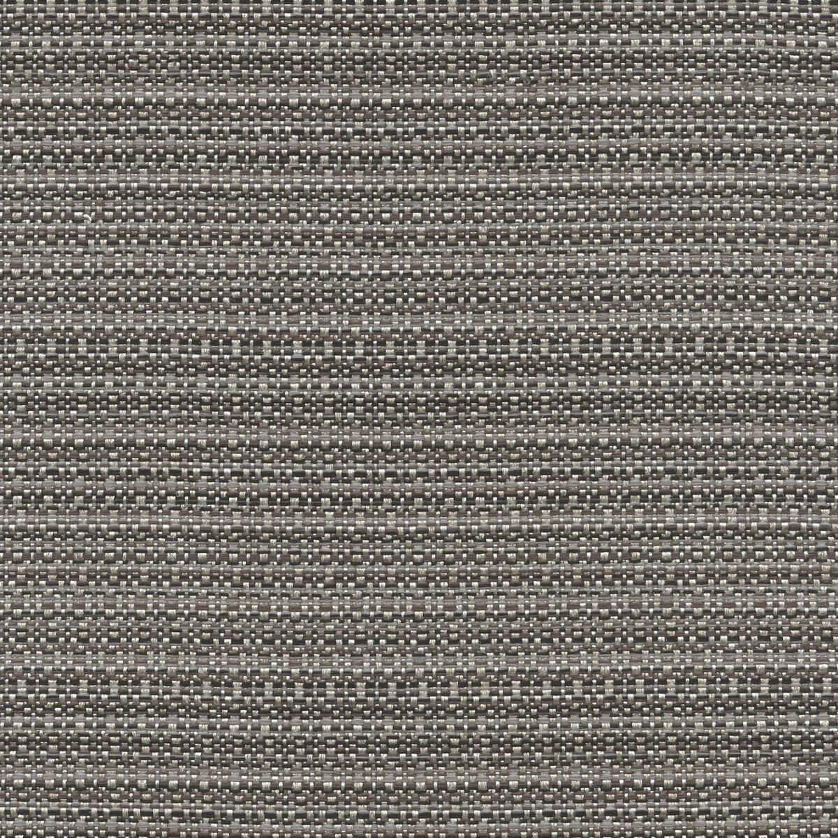 56247 MOLLUSK (CABO)