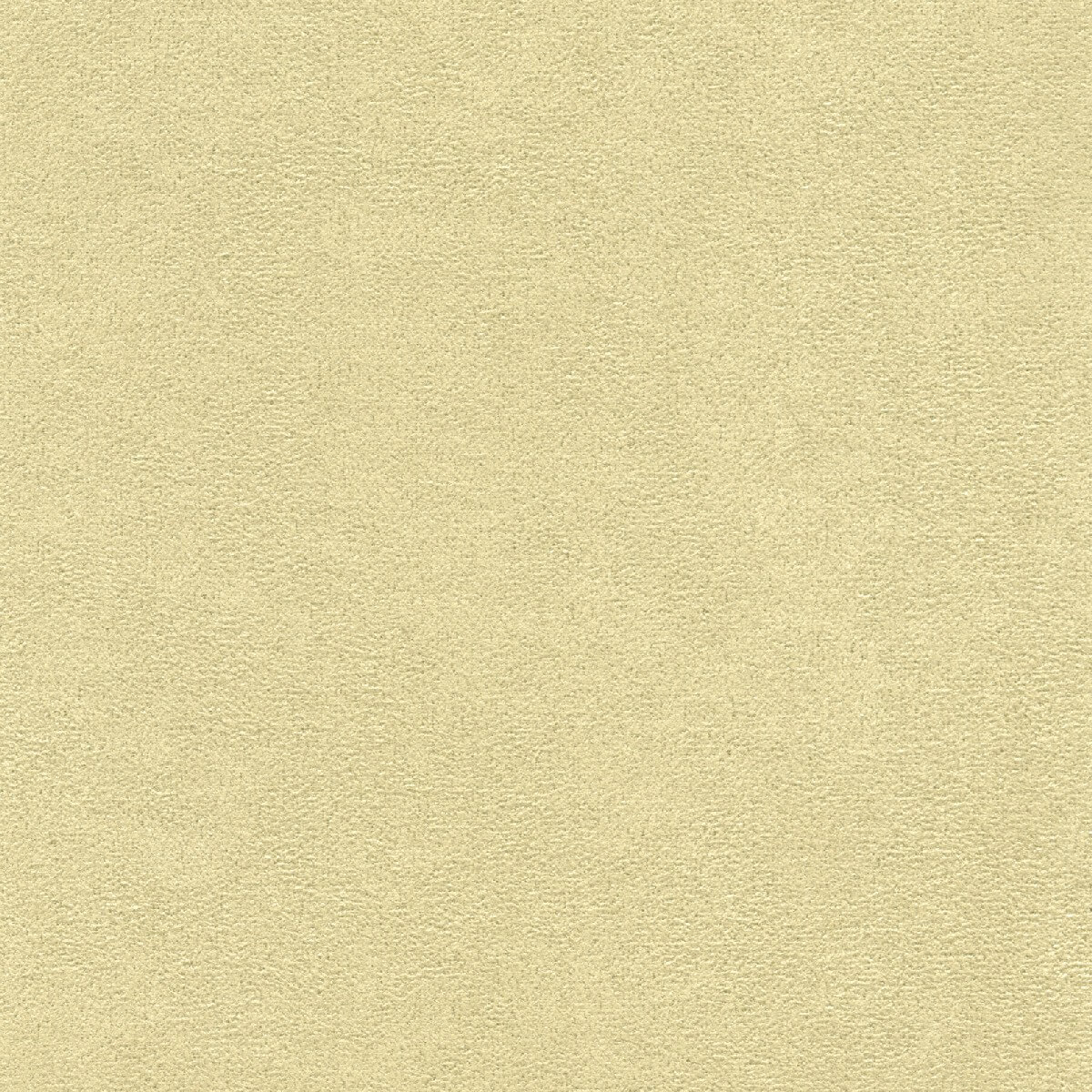 81502 FAWN (COMFORT SUEDE)
