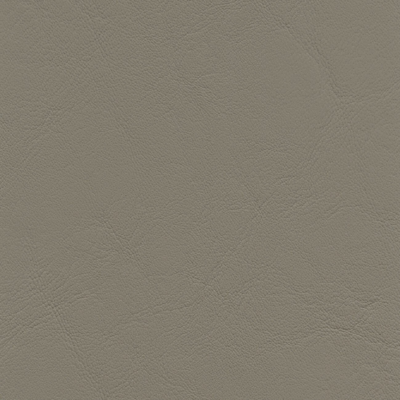 AL824 NU-ANTELOPE (ALLANTE)