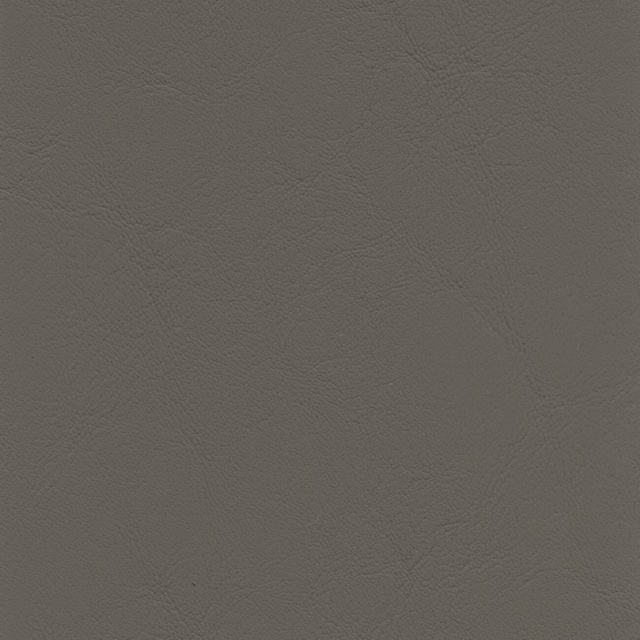 AL828 ELEPHANT (ALLANTE)