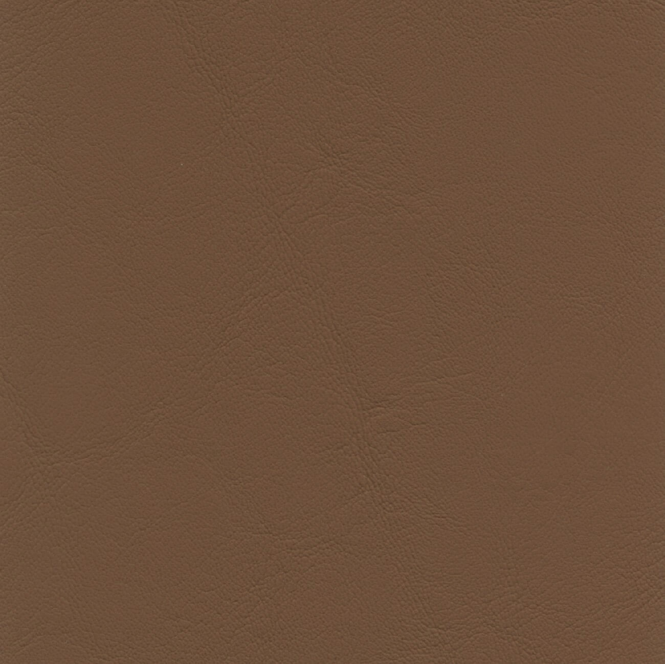 AL838 CINNAMON (ALLANTE)
