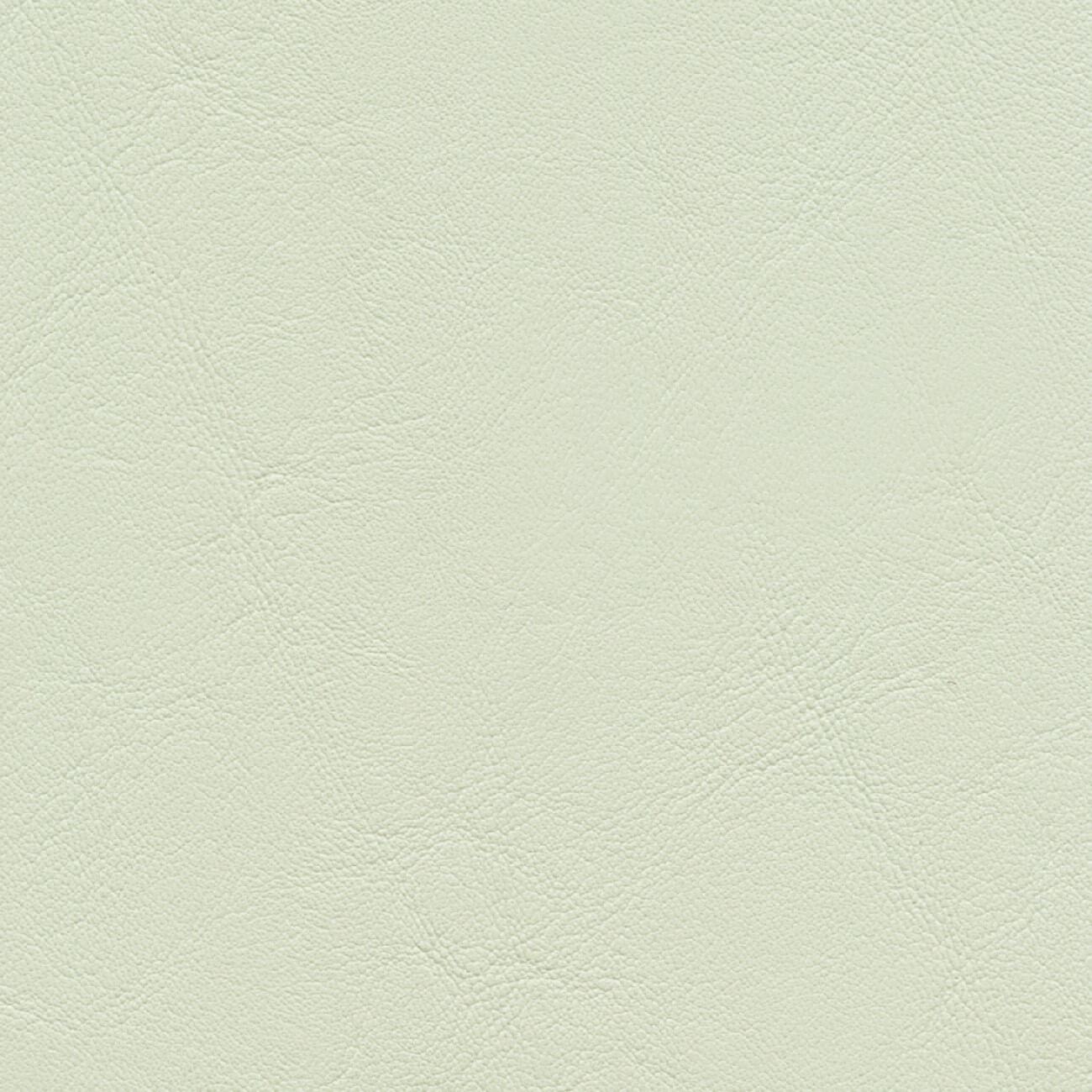 AL858 OXFORD WHITE (ALLANTE)