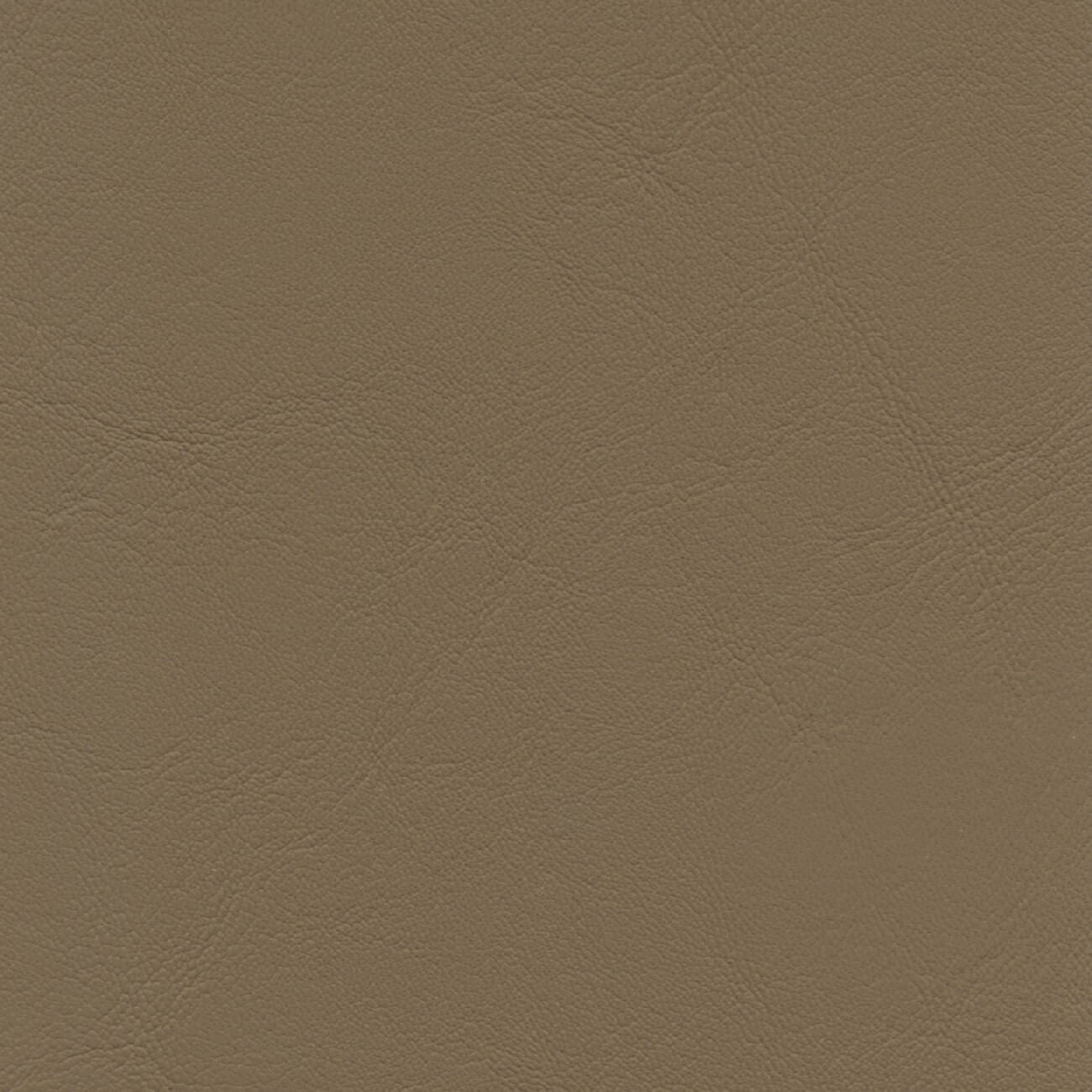 AL860 BEECHWOOD (ALLANTE)