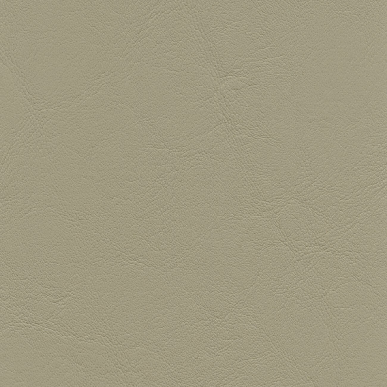 AL862 LIGHT NEUTRAL (ALLANTE)