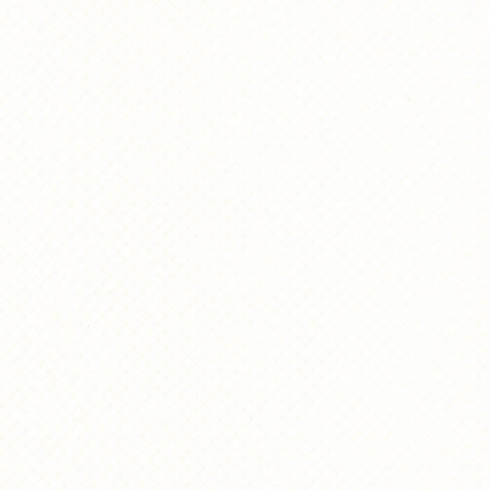 APX2554 BRILLIANT WHITE (APEX)