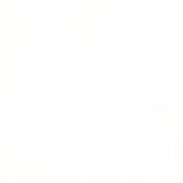 ARI1601 BRILLIANT WHITE (ARIES)