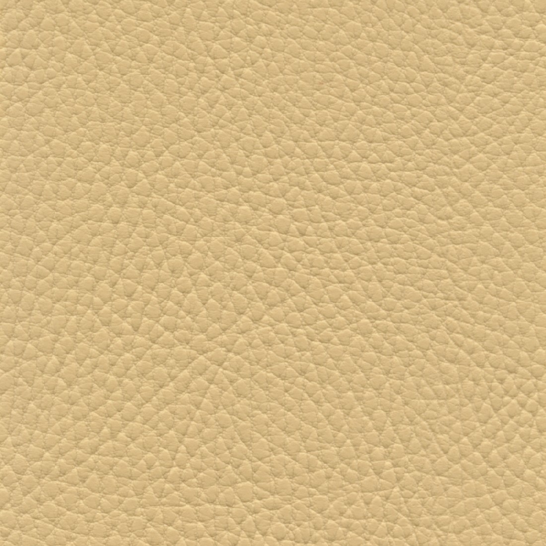 BEL3305 DUNE (BELUGA)
