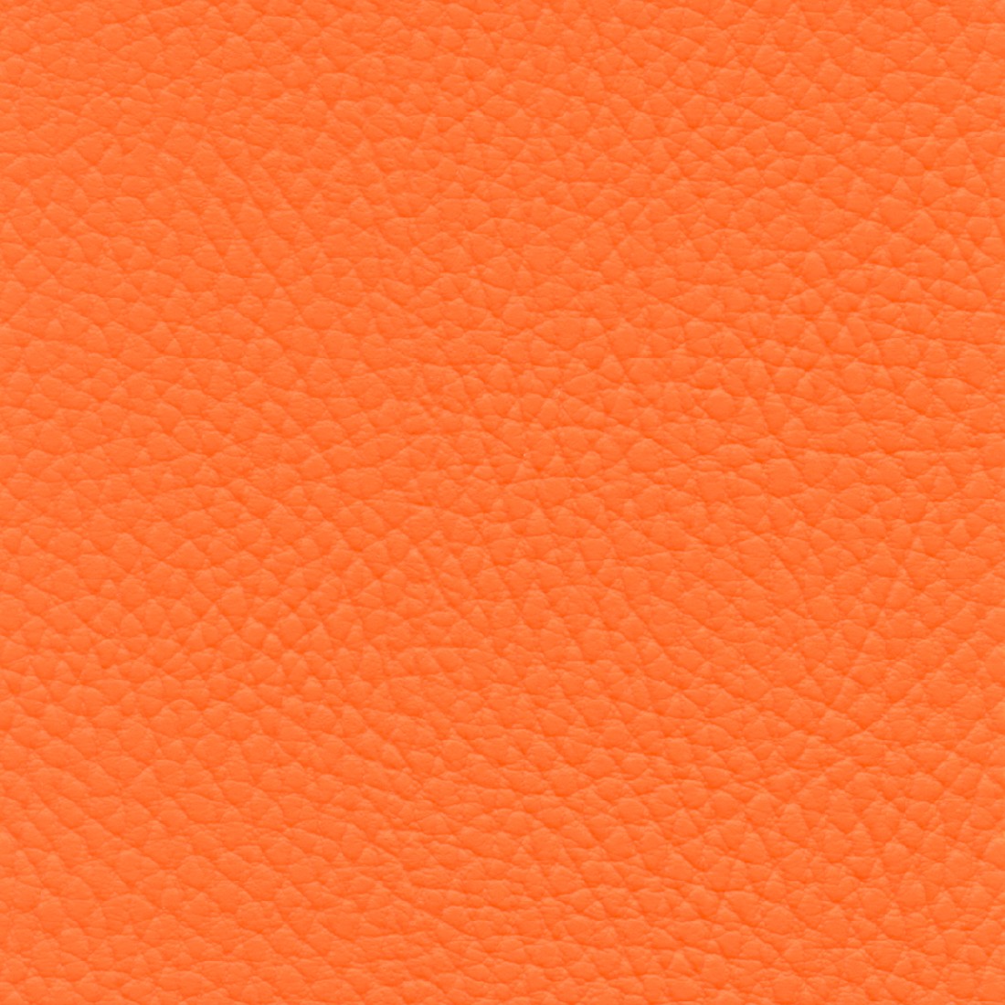 BEL3306 PAPAYA (BELUGA)