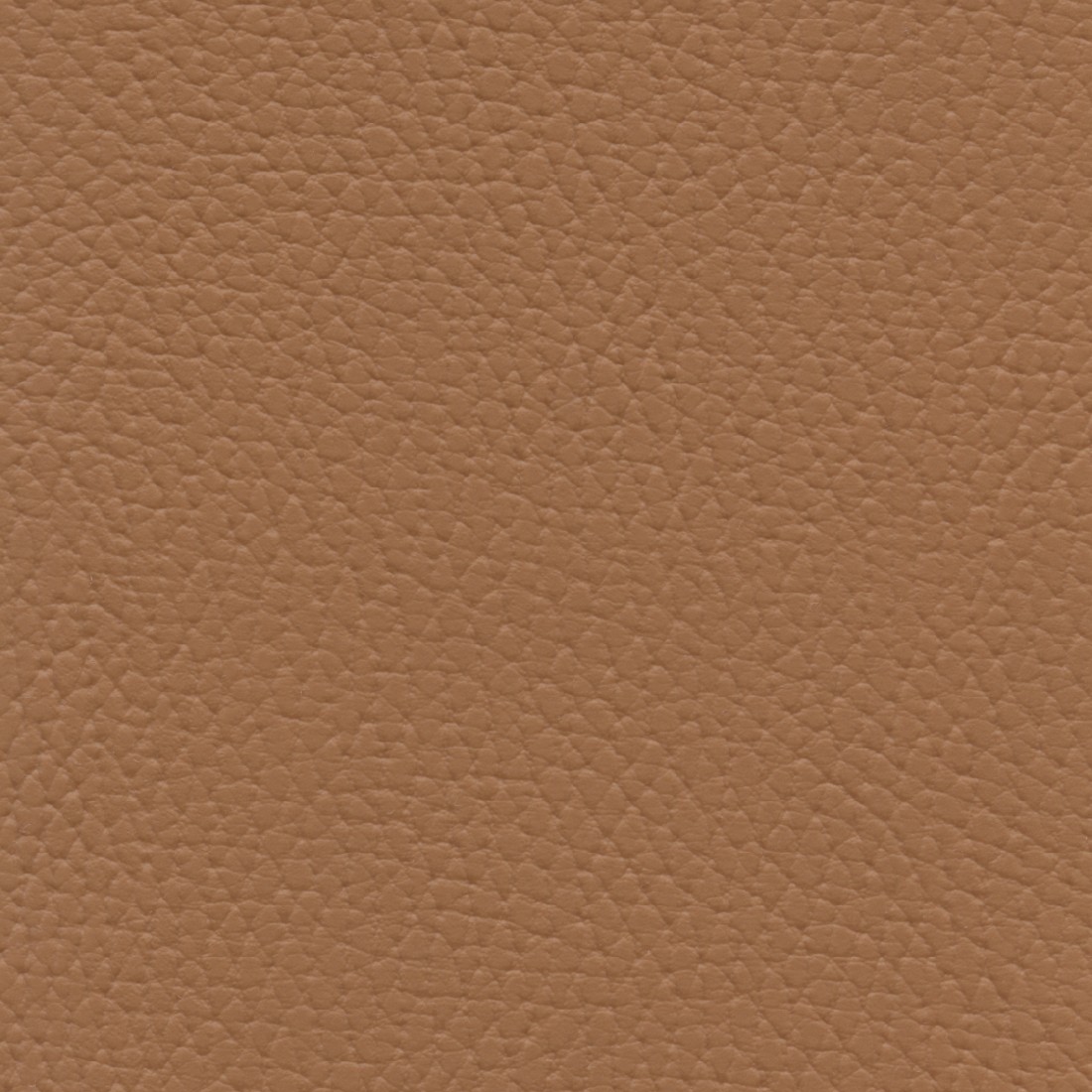 BEL3307 OCHRE (BELUGA)
