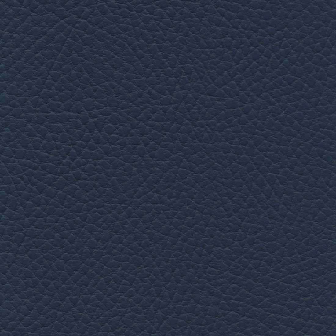 BEL3313 CELESTIAL (BELUGA)
