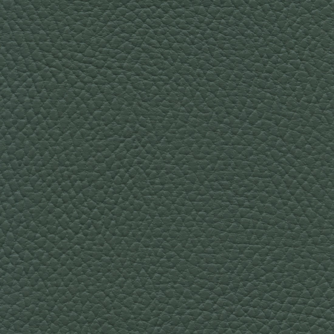 BEL3314 FOREST (BELUGA)