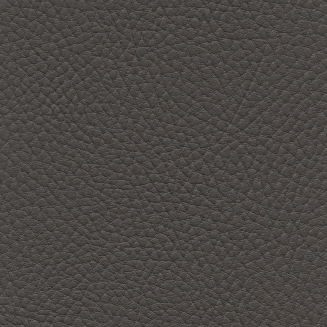 BEL3315 MOCCA (BELUGA)