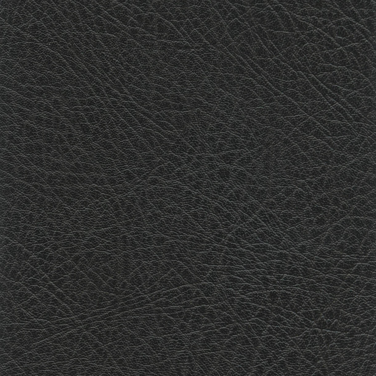LEXI-BLACK BLACK (LEXI) (50252)
