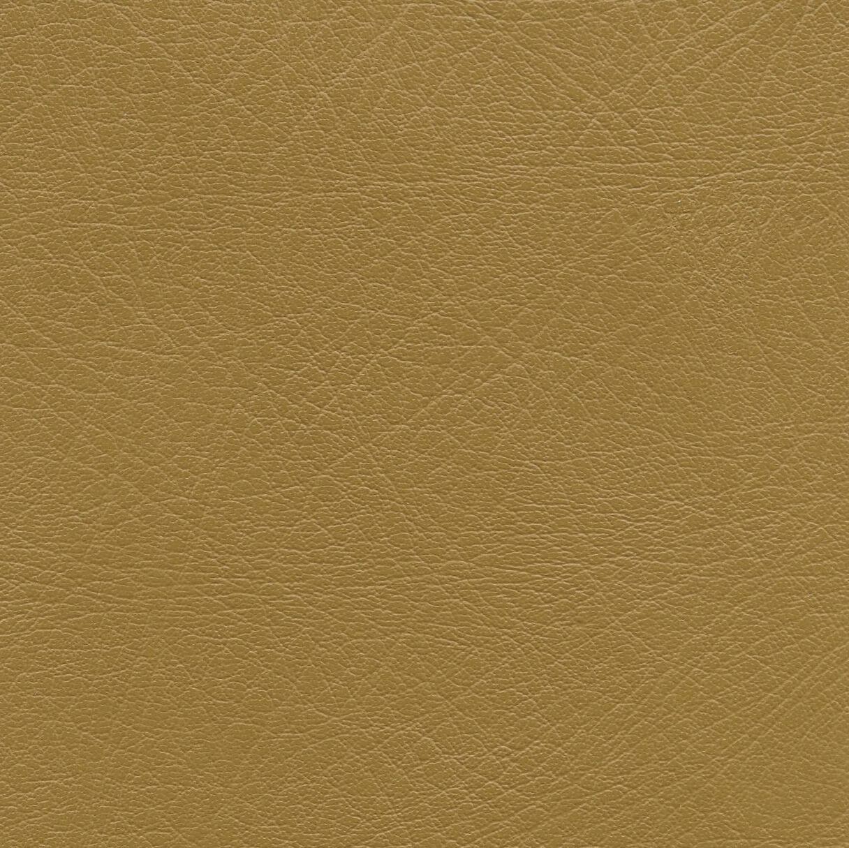 LEXI-BRONZE BRONZE (LEXI) (50260)