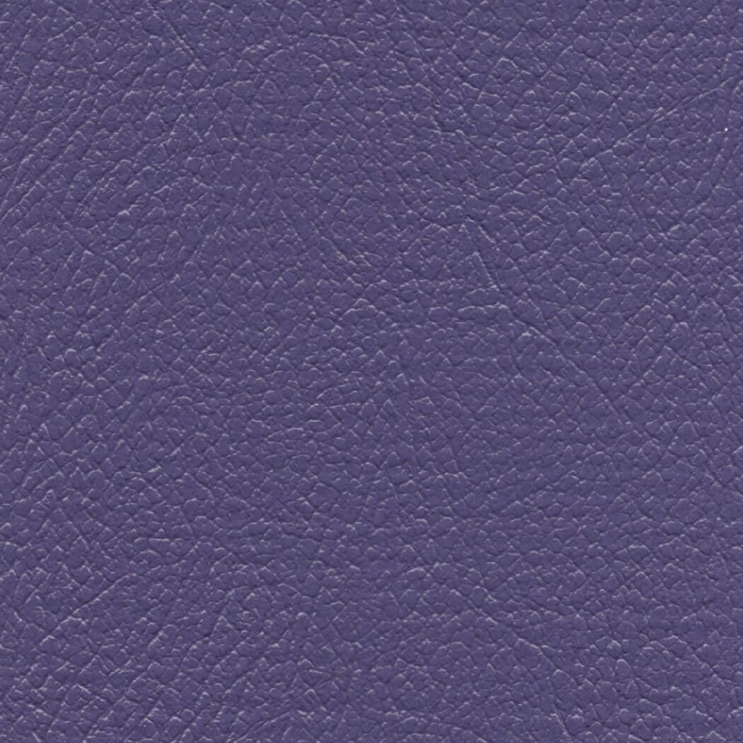 CH384 PURPLE (CHAMPION)