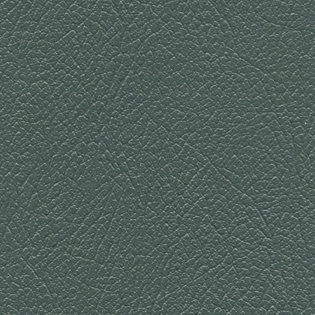 CH589 FOREST GREEN (CHAMPION)