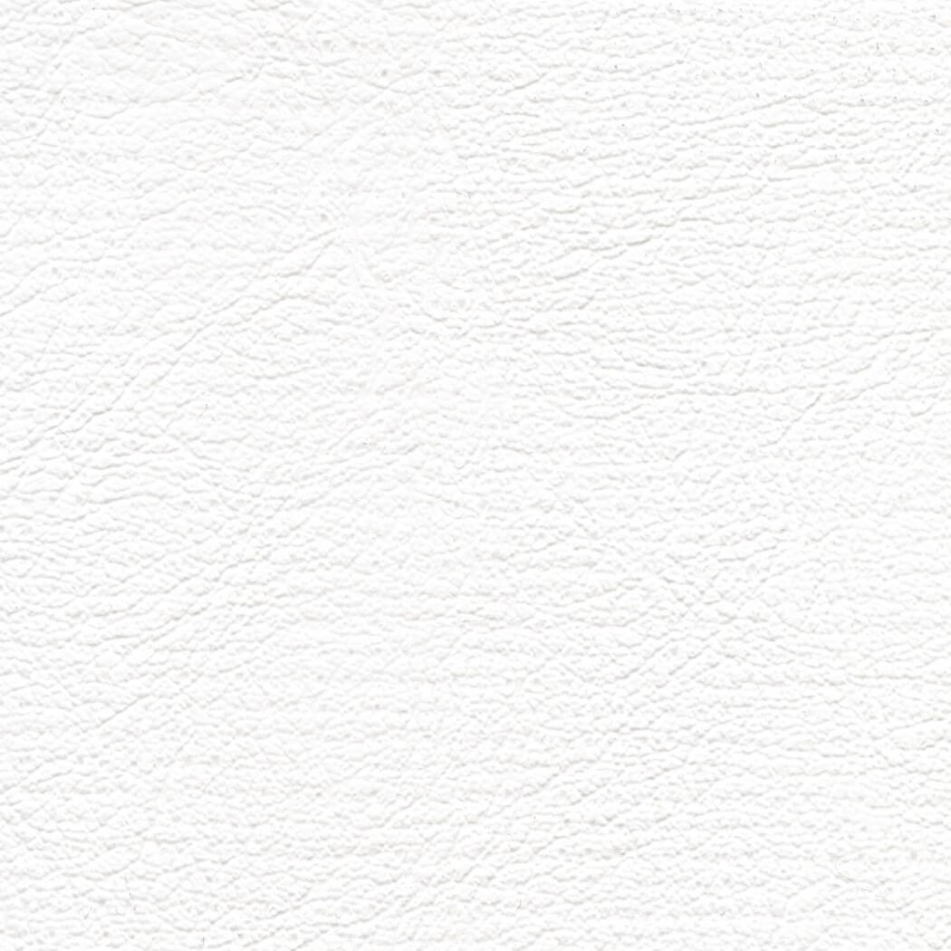 CH613 WHITE (CHAMPION)