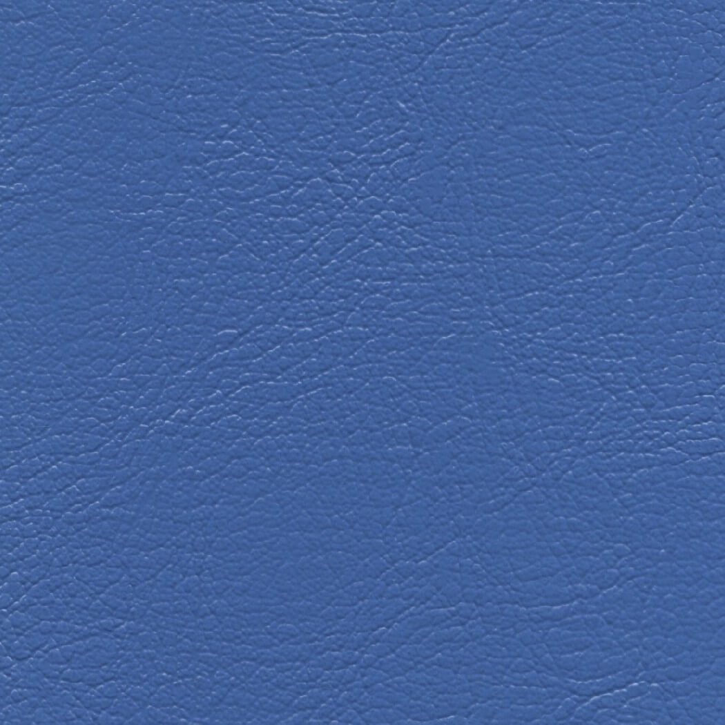 CH745 CHAMPION BLUE (CHAMPION)