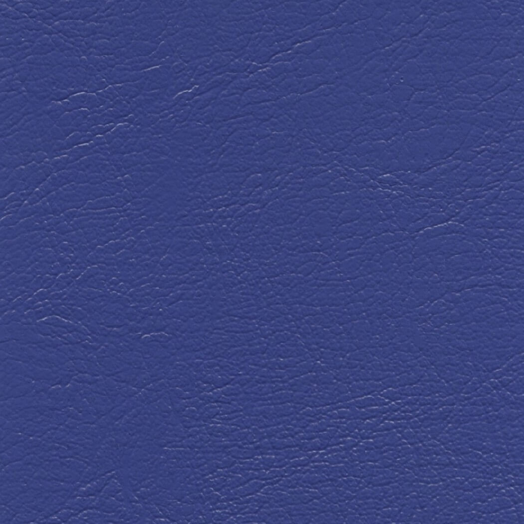 CH757 ROYAL BLUE (CHAMPION)