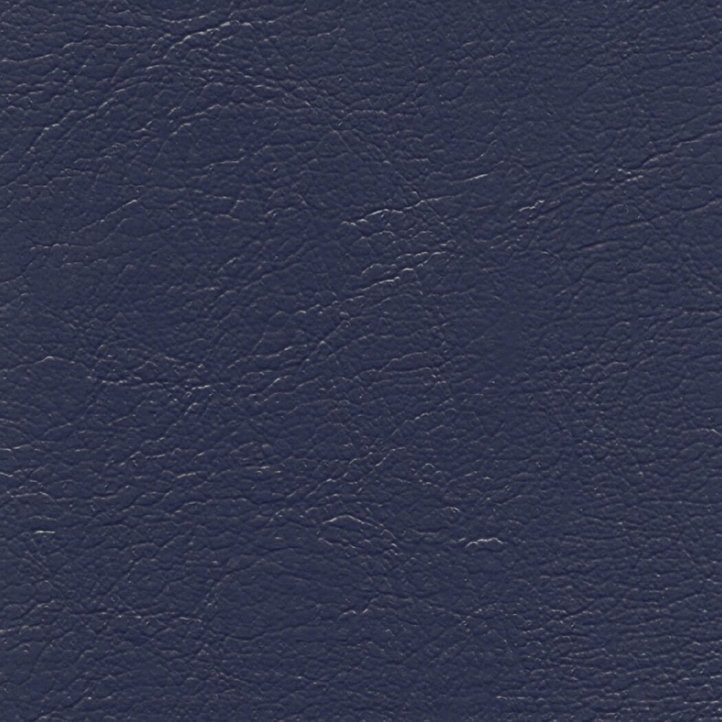 CH772 NAVY (CHAMPION)