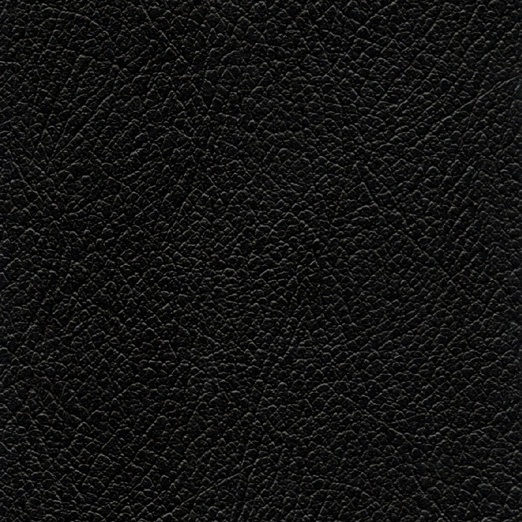 CH950 BLACK (CHAMPION)